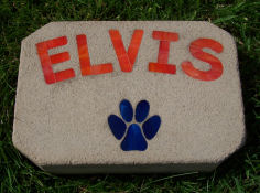 Elvis