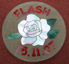 Flash